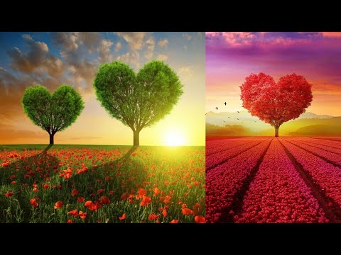 Himesh Reshmiya Superhit Song 💖💜💯l Beautiful by nature #himeshreshammiya