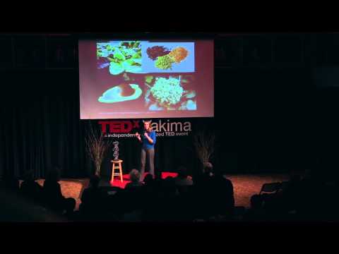 Epigenetics: You are what you eat | Jennifer Dechaine | TEDxYakimaSalon