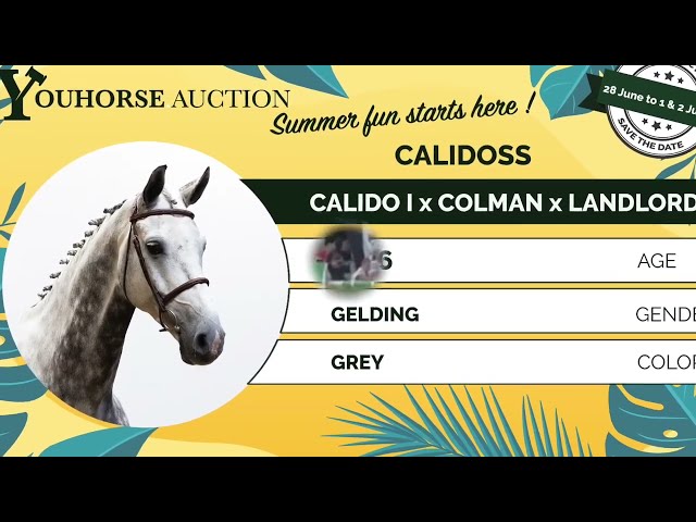 Calidoss showvideo outdoor
