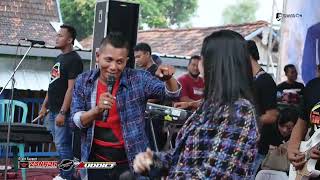 Download lagu JAMBU ALAS II RATNA ANTIKA 🇮🇩 ZONADA 🇮🇩 AUDDICT AUDIO 🔊 CITRAVISION 🎥 ( 26 JANUARI 2023 ) mp3