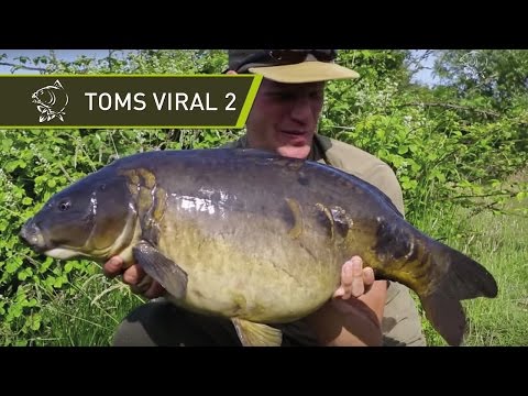 Carp Fishing Video - Inside Nash Tackle - Tom's Viral Episode 2 - Nash Floater Packs - Nash H-Gun