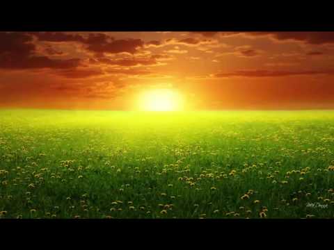 Você Pode Curar sua Vida Enquanto Dorme!  Atualizado 2022  Funciona 100%  Louise Hay