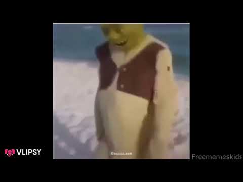 R.I.P Shrek