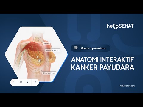 Anatomi Interaktif Kanker Payudara