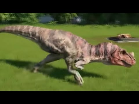 The Prehistoric Carnivorous Dinosaurs - Ceratosaurus