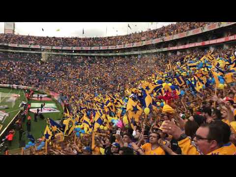 "Recibimiento clásico regio 116" Barra: Libres y Lokos &bull; Club: Tigres