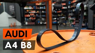 Jak wymienić pasek wielorowkowy w AUDI A4 B8 Sedan [PORADNIK AUTODOC]