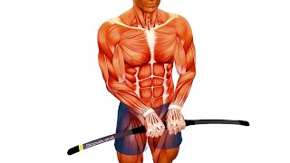 Bodyblade® Muscle Animation
