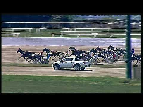 Trotto 31/05/2020 - 2ª corsa