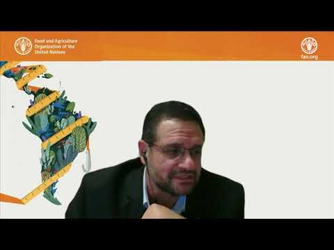 United for nature: keeping a close eye on forests in Latin America and the Caribbean