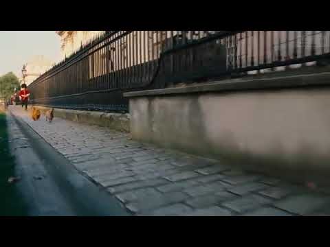 The British are coming