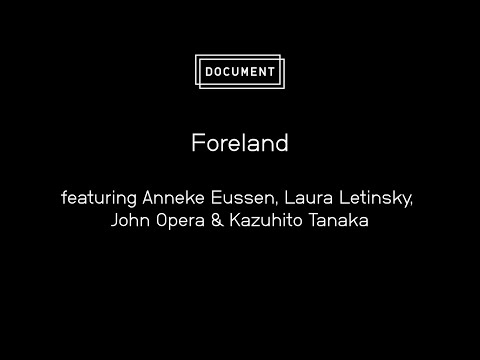 DOCUMENT at the Foreland Gallery Coalition