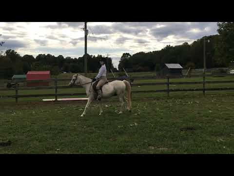 SCR Show 4 Class 2 W/T Eq Cheyenne Robinson & Wonderley Pomp