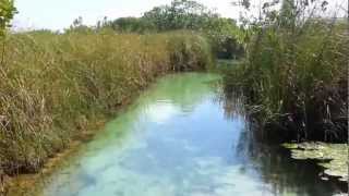 preview picture of video 'Mayan Canal Tour Located in the Sian Ka'an, Tulum / Muyil, Mexico'