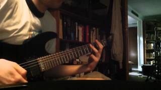 Melvins-Pig House guitar cover