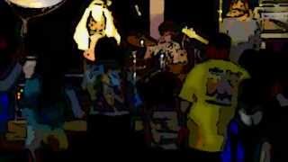 Dick Diamond & The Dusters 2013 Live Intro/Bee Gees Medley @ Highland 4th of July Fest