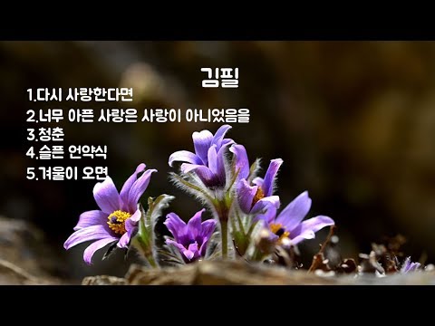 김필 1 : 다시 사랑한다면 / 너무 아픈 사랑은 사랑이 아니었음을 / 청춘 / 슬픈 언약식 / 겨울이 오면