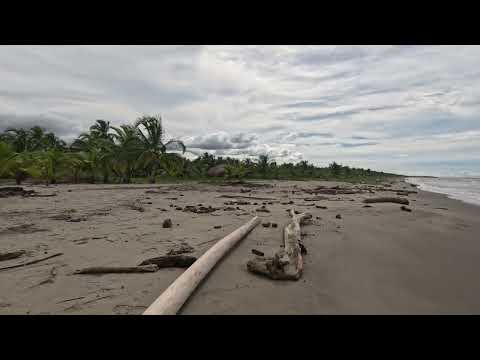 Plus Ultra Antioquia's San Juan de Urabá Beaches