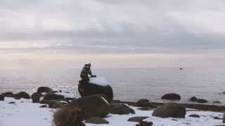 preview picture of video 'Trip To Zvejniekciems'