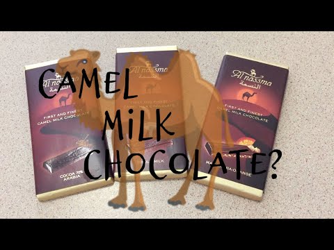 We Tried CAMEL MILK Chocolate...