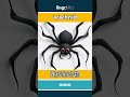 arachnid - 蛛形纲动物 video thumbnail
