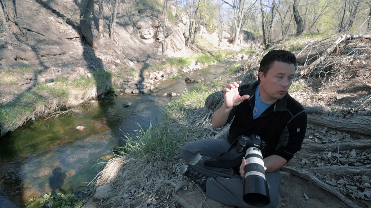 wildlife photography how to photography small birds