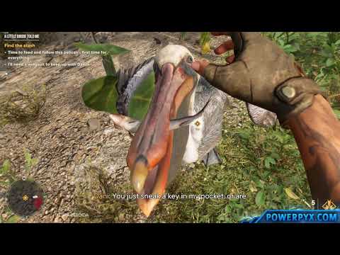Far Cry 6 - A Little Birdie Told Me Treasure Hunt Walkthrough