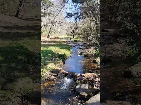 Espacios de #Tanti que enamoran 💧 | El arroyito del diquecito, una bendición natural #naturaleza