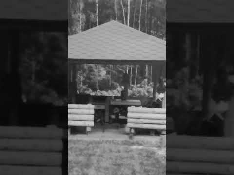 Sininen huvimaja. -  Veikko Kaarela