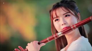 Download lagu 1 Hour Dizi Chinese bamboo flute【9】❤Dong Min❤อาหมวยแก้มซาลาเปา❤เป่าขลุ่ยจีน❤ mp3