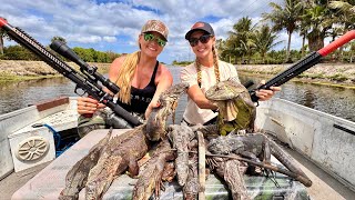 Invasive Iguanas Taking Over Florida! *Hunting with Air Rifles and Dogs*