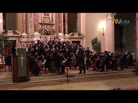 Elomar Figueira Mello - Arrumação - Lucas Galon & Coro/Cello Orchestra Alma-Sarti-USP