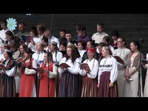 Ilus oled isamaa. Järvamaa laulu- ja tantsupidu 2011