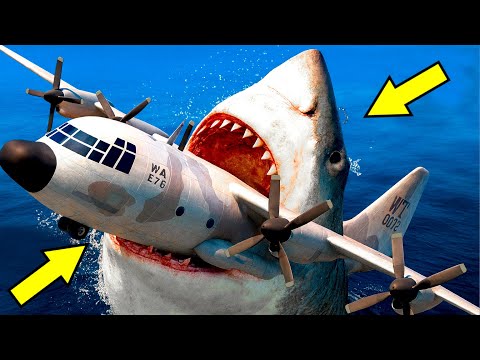 Aeroplane Attacked by a Megalodon Shark | GTA 5
