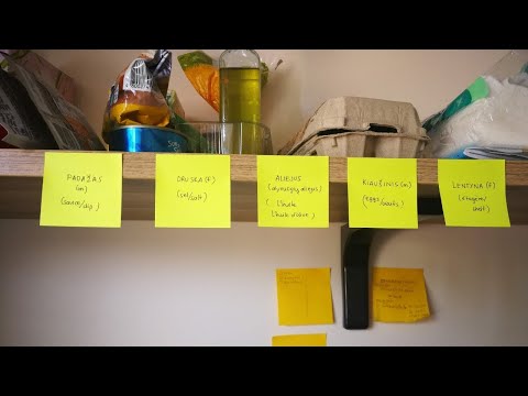 Learn the basics of these languages in UNDER 8 minutes 🇱🇹 🇫🇷 🇺🇸 🇵🇭