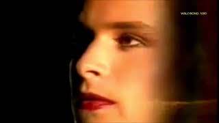 MEU ERRO-OS PARALAMAS DO SUCESSO-CLIPE -1984 [HQ]