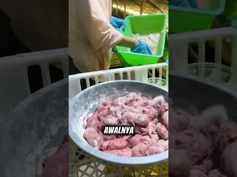 Kenapa Anak Kelinci Ini Ditaburi Bubuk? #shorts