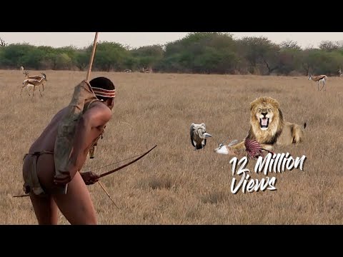 Reveal: Living on the Edge - The San tribe's epic battle...    #animals #animalsofyoutube