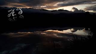 Tal Bachman-Aeroplane (audio)