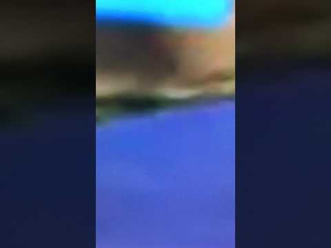 Multi dimensional ☠️ William Kai Stephanos © 2017