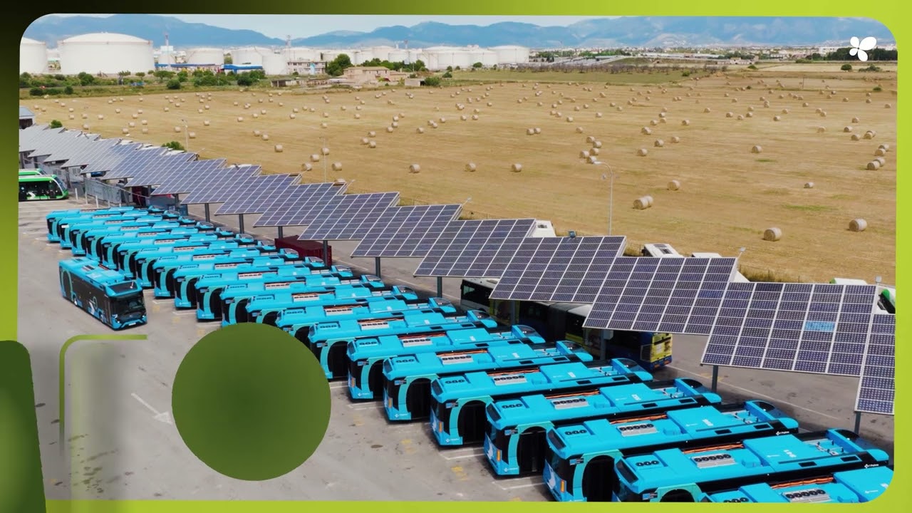 Palma Drives Towards a More Sustainable Transport Network