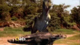 Dino Fiesta