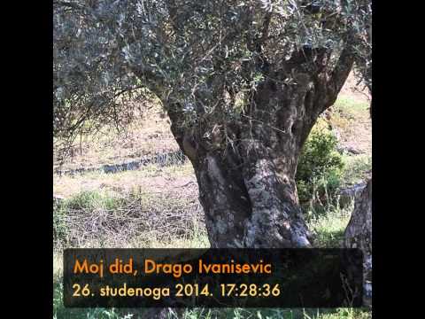 Moj did, Drago Ivanisevic