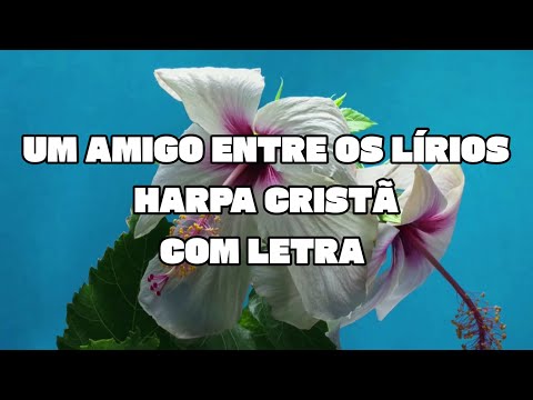 Um Amigo Entre os Lírios - Hino da Harpa Cristã Com Letra