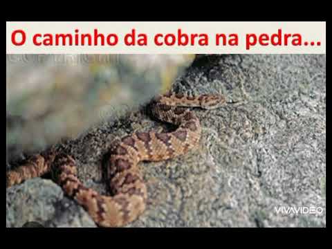 4 coisas maravilhosas provérbios 30:18,19