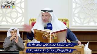 220 - ما هي الشجرةُ الخبيثةُ التي جعلها الله تعالى في القرآن الكريم مَثَلاً للكلمة الخبيثة؟