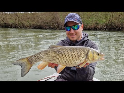 RagadoZóna #40 Egy Igazi Öreg Hal!