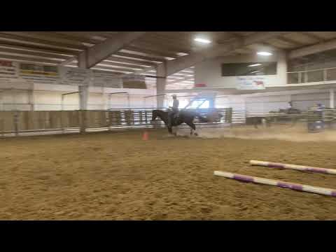 Rick Schroeder Novice Division Nu  Model Mercedes Round Three Virtual Show