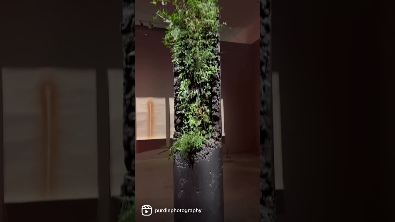 YouTube Short thumbnail