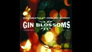 Gin Blossoms - My Car